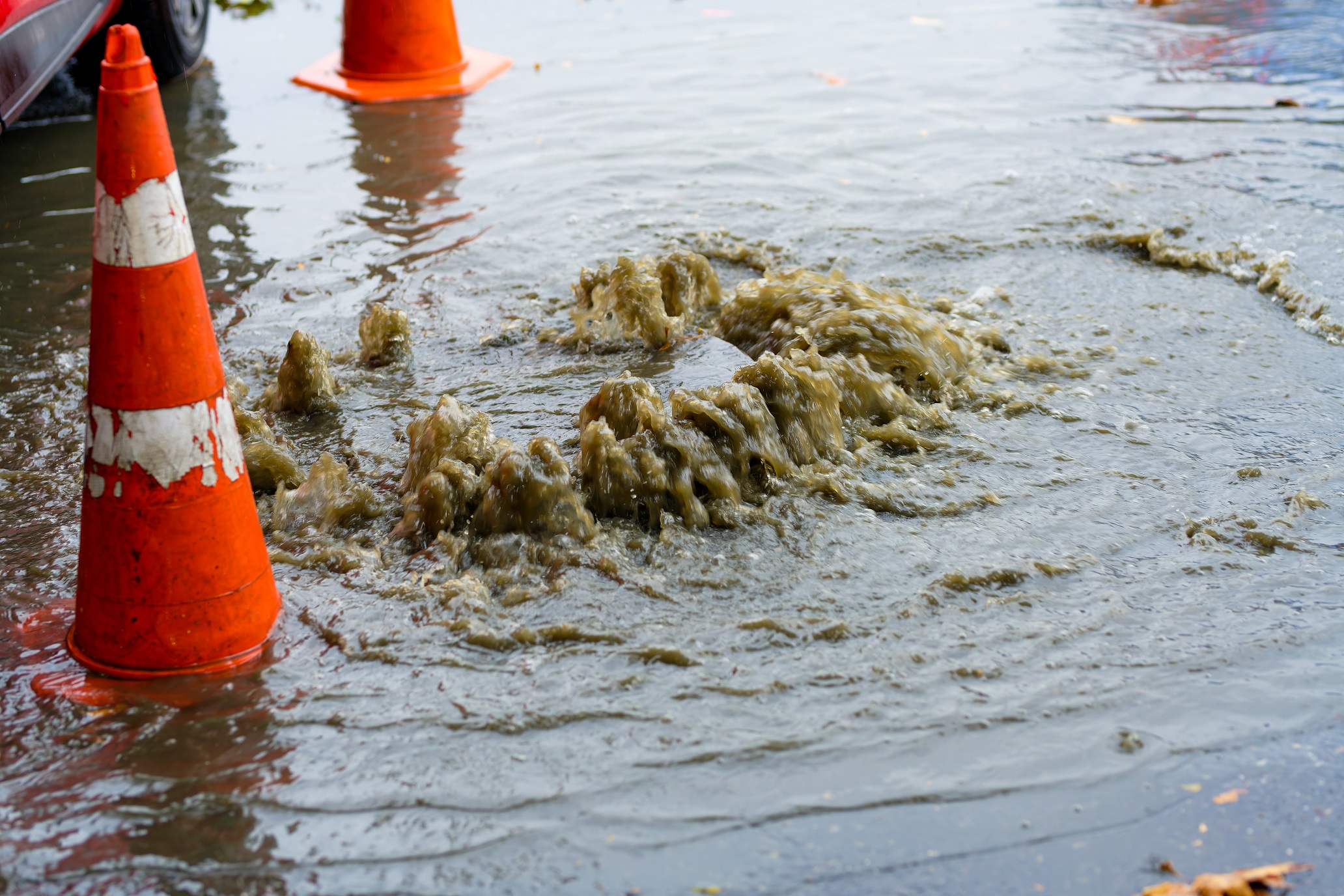 Drain in need of sewer repair not draining properly with construction cones next to it.